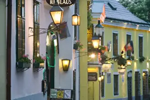 AUSTRIA-Vienna (Grinzing): Heurigen - Wine Taverns / Exterior Famous Wine Tavern