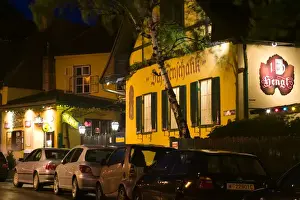 AUSTRIA-Vienna (Grinzing): Heurigen - Wine Taverns / Exterior Famous Wine Tavern