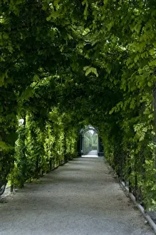 Images Dated 16th September 2009: Austria, Vienna. Maria Theresas baroque Schonbrunn Palace (aka Schlob Schonbrunn)