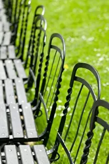 Cafe Tables and Chairs Collection: AUSTRIA, Vienna: Park Benches / Burggarten / Palace Gardens