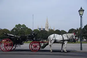 Images Dated 16th September 2009: Austria, Vienna. Popular traditional horse-drawn fiaker (carriage) rides