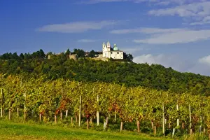 Images Dated 1st October 2010: Austria, Vienna. Vienna has 630 producers - one wine producer per 2
