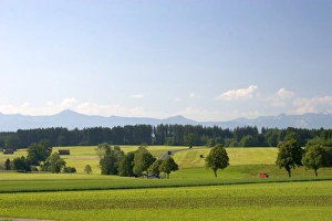Images Dated 13th June 2006: Austrian Alps and green fields near Weilheim in Sounthern Germany