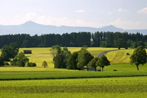 Austrian Alps and green fields near Weilheim in Sounthern Germany
