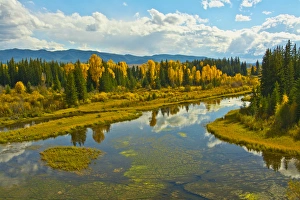 Images Dated 22nd September 2016: autumn afternoon at Lava Creek, Grand teton National Park, Wyoming, USA