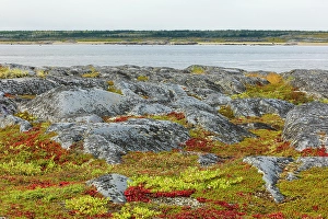 Manitoba Prints: Autumn arctic tundra and the Churchill River in northern Manitoba