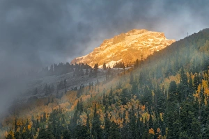 Colorado Prints: Autumn aspen trees, mist, and mountain slope at sunrise, from Million Dollar Highway