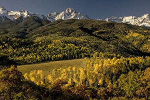Images Dated 25th September 2016: Autumn aspen trees and Mount Sneffels