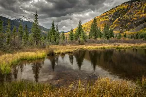 Autumn aspen trees reflecting on pond, near Ouray, Uncompahgre National Forest, Colorado
