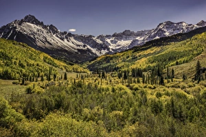 Images Dated 31st January 2016: Autumn aspen trees and Sneffels Range