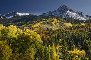 Images Dated 24th September 2016: Autumn aspen trees and Sneffels Range