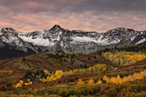 Images Dated 27th September 2016: Autumn aspen trees and Sneffels Range