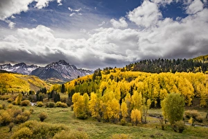 Images Dated 28th September 2016: Autumn aspen trees and Sneffels Range