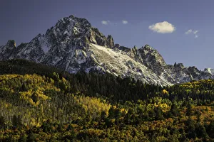 Beauty In Nature Prints: Autumn aspen trees and Sneffels Range