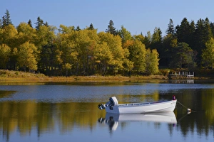 Autumn, Bass Harbor, Mount Desert Island, Maine, USA