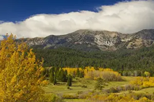 Gallatin National Forest Prints: Autumn color accent the Bridger Mountain Range near Bozeman, Montana, USA