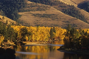 Missoula Prints: Autumn Color on the Bitterroot River near Missoula, Montana, USA