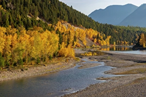 Images Dated 6th November 2023: Autumn color along the Flathead River at Bad Rock Canyon in Hungry Horse, Montana, USA