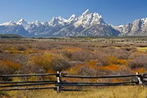 Mountains Prints: autumn color; Grand Tetons; Buck-and_rail Fence; from Cunningham Cabin; Grand Teton