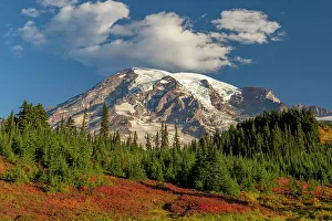 Paradise Prints: Autumn color at Paradise Meadows in Mount Rainier National Park, Washington State, USA