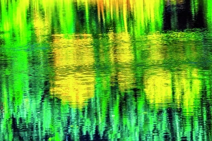 New Images March 2024 Part 1 Prints: Autumn color reflection. Gold Lake