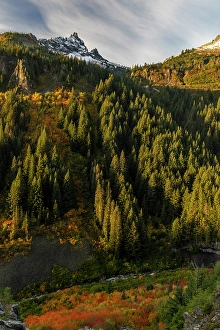 Images Dated 8th October 2023: Autumn color along Stevens Creek in Mount Rainier National Park, Washington State, USA