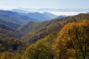 Mountains Prints: Autumn color on trees, mountain vista, fog in valley, Great Smoky Mountain National Park