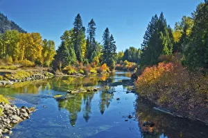 Autumn color, White River, Wenatchee National Forest, Washington State, USA