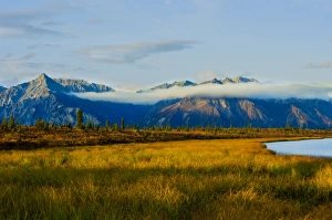 Chugach Prints: Autumn colors adorn Chugach National Forest, Alaska