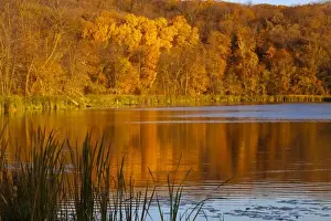 Autumn colors in Maplewood State Park near Pelican Rapids, Minnesota, USA
