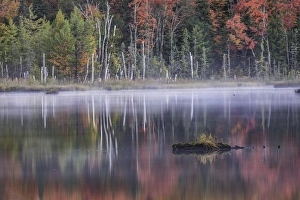 Autumn Colors and mist reflecting on Council Lake at sunrise, Hiawatha National Forest