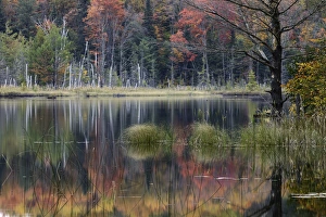 Northwood Prints: Autumn Colors and mist reflecting on Council Lake at sunrise, Hiawatha National Forest