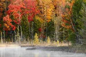 Images Dated 12th October 2016: Autumn Colors and mist reflecting on Council Lake at sunrise, Hiawatha National Forest