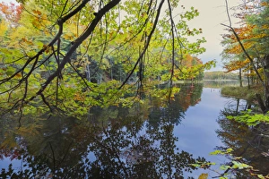 Images Dated 11th October 2016: Autumn Colors and mist reflecting on Council Lake at sunrise, Hiawatha National Forest