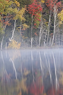 Images Dated 12th October 2016: Autumn Colors and mist reflecting on Council Lake at sunrise, Hiawatha National Forest