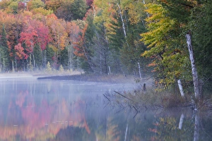 Images Dated 12th October 2016: Autumn Colors and mist reflecting on Council Lake at sunrise, Hiawatha National Forest