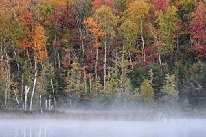 Autumn Colors and mist reflecting on Council Lake at sunrise, Hiawatha National Forest