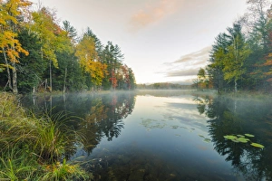 Autumn Colors and mist reflecting on Council Lake at sunrise, Hiawatha National Forest