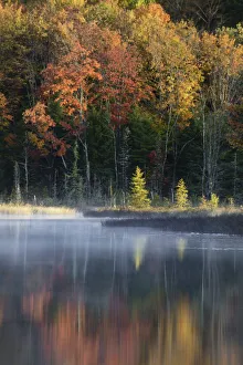 Beauty In Nature Prints: Autumn Colors and mist reflecting on Council Lake at sunrise, Hiawatha National Forest