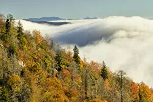 Images Dated 1st January 2000: Autumn Colors and mist at sunrise, Blue Ridge Mountains from Blue Ridge Parkway at sunrise
