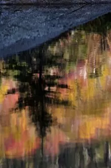 Autumn colors reflected on Beaver Pond, New Hampshire