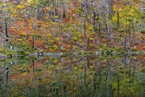 Images Dated 18th September 2018: Autumn colors reflecting into Lost Lake in Glacier National Park, Montana, USA