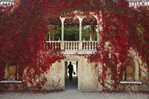 Waikato Prints: Autumn colour at the Italian Renaissance Garden, Hamilton Gardens, Hamilton, Waikato