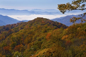 Gayle Harper Prints: Autumn in the Great Smoky Mountain National Park, Tennessee