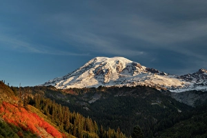 Images Dated 8th October 2023: Autumn huckleberry bushes and Mount Rainier n Mount Rainier National Park