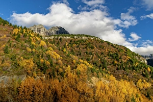Garden Wall Prints: Autumn hues below The Garden Wall in Glacier National Park, Montana, USA