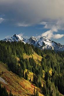Snowcapped Prints: Autumn hues on Mazama Ridge and fresh snow on the Tatoosh Range in Mount Rainier National Park