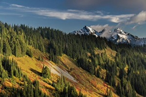 Snowcapped Prints: Autumn hues on Mazama Ridge and fresh snow on the Tatoosh Range in Mount Rainier National Park