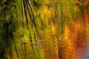 Images Dated 6th October 2016: Autumn hues relfect into the Dead River near Marquette, Michigan USA
