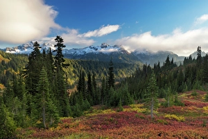Images Dated 8th October 2023: Autumn hues with the Tatoosh Range in Mount Rainier National Park, Washington State, USA